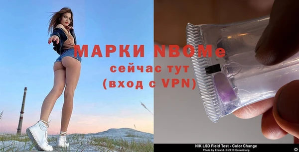 дживик Баксан