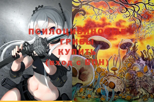 прущий лед Семилуки