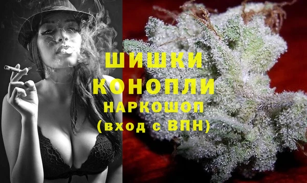 МДПВ Семёнов