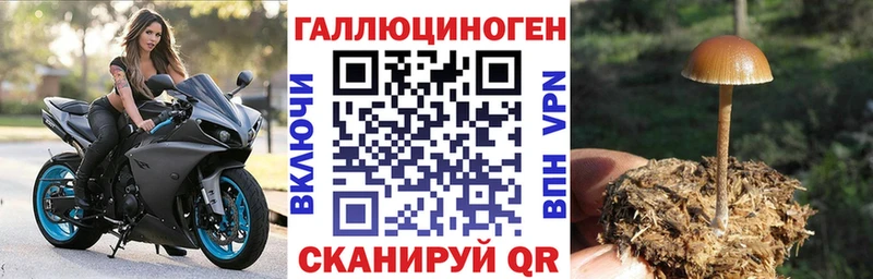 Псилоцибиновые грибы мухоморы  Семилуки 