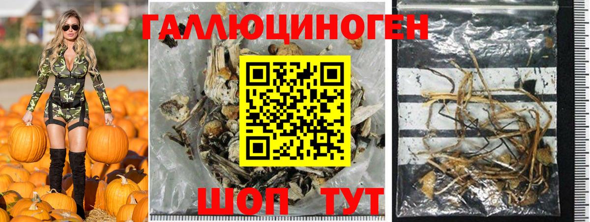 купить наркотики цена  Псилоцибиновые грибы мицелий  Псилоцибиновые грибы ЛСД  Вход с VPN  Семилуки 